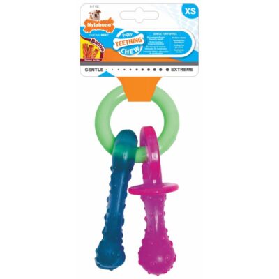 Nylabone Puppy Pacifier - Bacon X-Small