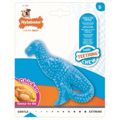Nylabone Puppy Dental Dino - Chicken Small