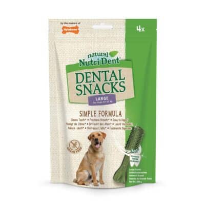 Nylabone Nutri Dent Large 520gr