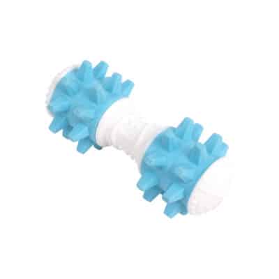 PW Παιχνίδι Σκύλου Giggle Dumbell 14cm